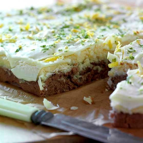 Chocolate coconut cake