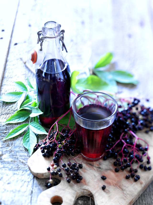 Elderberry cordial