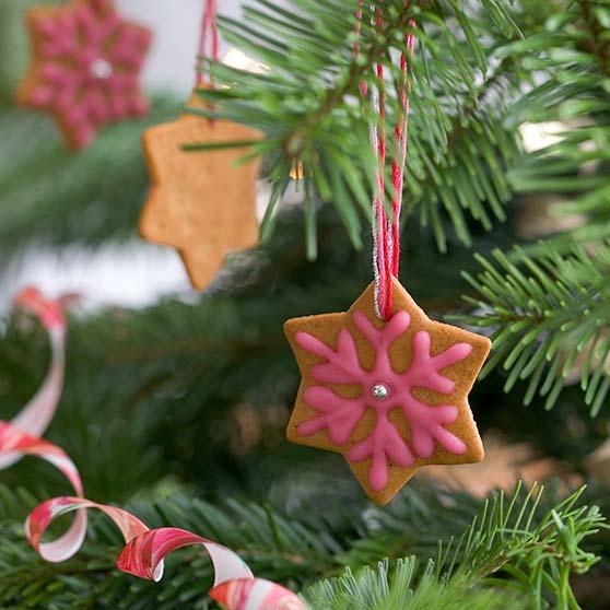 Iced gingerbread & Icing