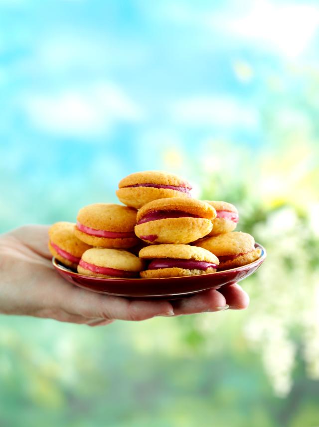 Summer whoopies